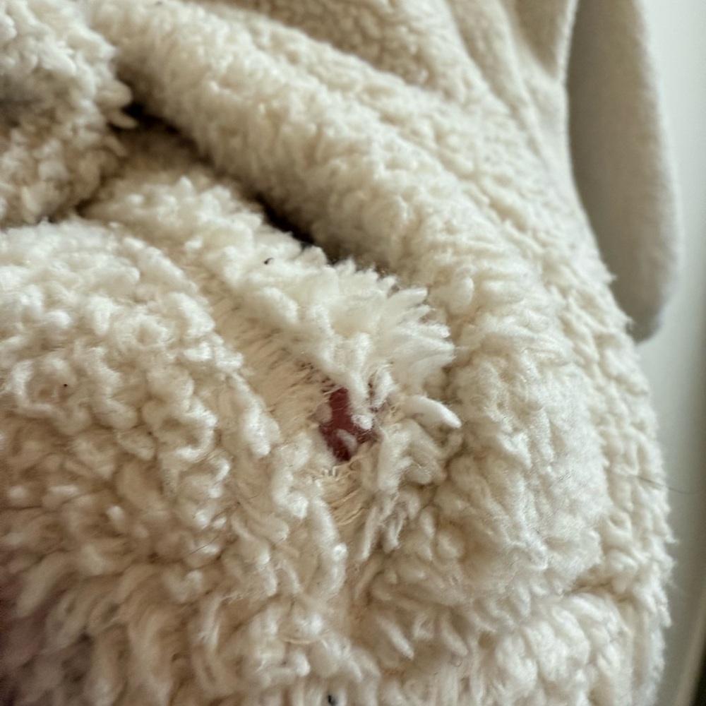 Aritzia Sunday Best Sherpa Mock Neck full Zip Jacket - Picture 7 of 11
